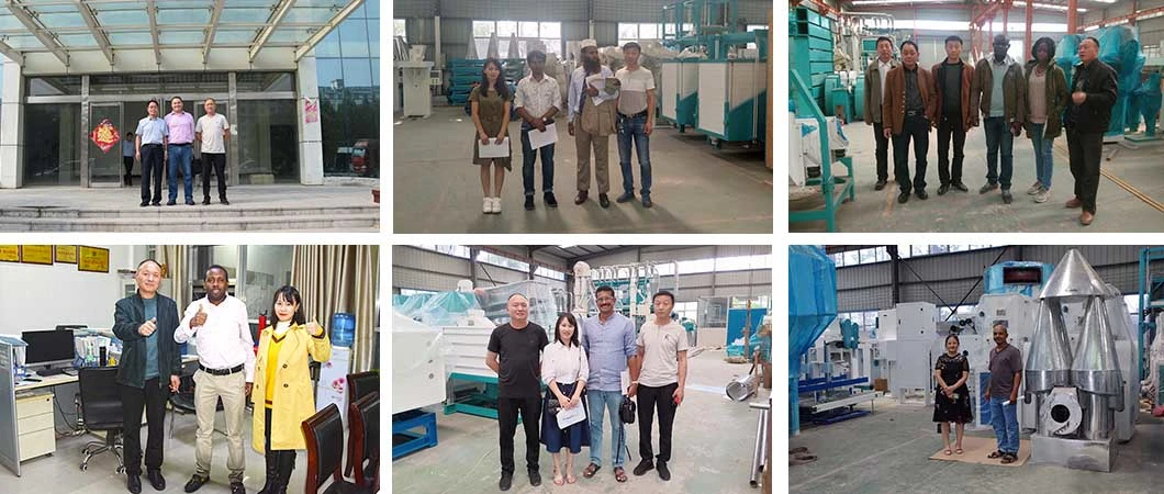 Machine De Dé Coupe De Lentilles Soybean Washing Machine Soybean Milk Tofu Making Machine