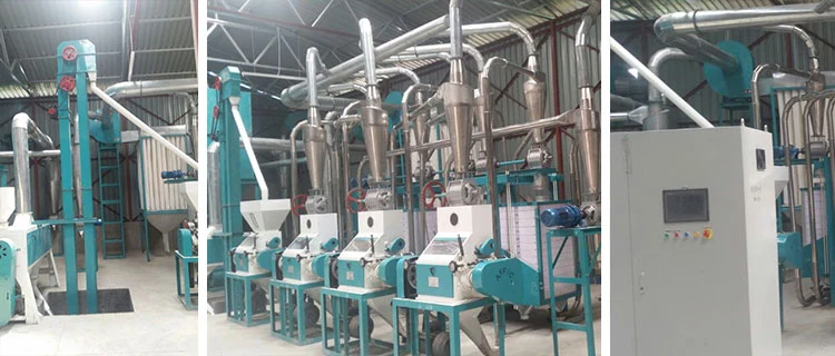 Maize Wheat Corn Flour Meal Grits Mill Milling Processing Making Machine