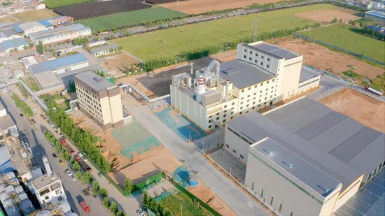 Macchinari per l'essiccazione del latte di amido di frumento Linea di produzione per la lavorazione della farina di frumento Macchina per la produzione di amido di frumento